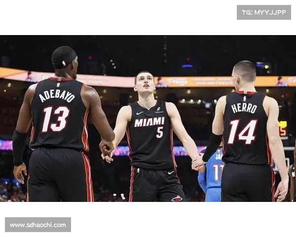 热火豪赌6240万签约约维奇 同届新秀伊森命运各异 展现NBA球队价值观对决